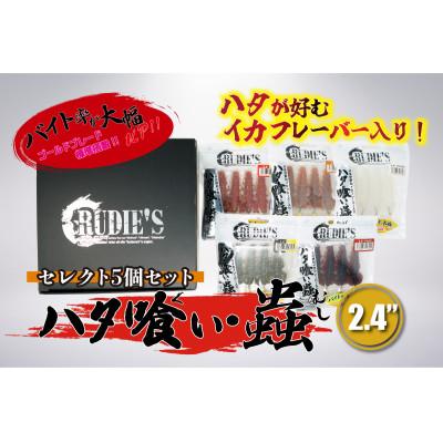ふるさと納税 飯塚市 RUDIE’Sのハタ喰い・蟲 2.4inch セレクト5個セット