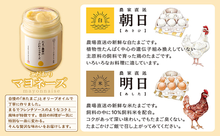 ココテラスの満喫セット ココテラス デイリーファーム セット カステラ マドレーヌ マヨネーズ たまご 卵 朝日 明日 スイーツ お菓子 プレゼント 贈り物 ギフト ギフトセット お取り寄せ 愛知県 