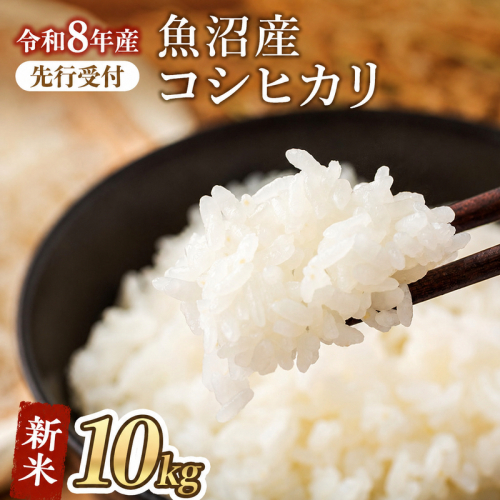 【令和8年産 新米先行受付】魚沼産コシヒカリ 特別栽培米 （精米）10kg　米 お米 こめ こしひかり 白米 新潟県 魚沼市 魚沼