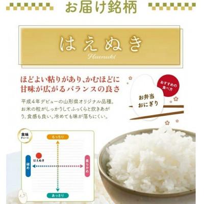 ふるさと納税 酒田市 【発送月固定定期便】《先行受付》はえぬき 精米 5kg 10月〜3月発送全6回 |  | 01
