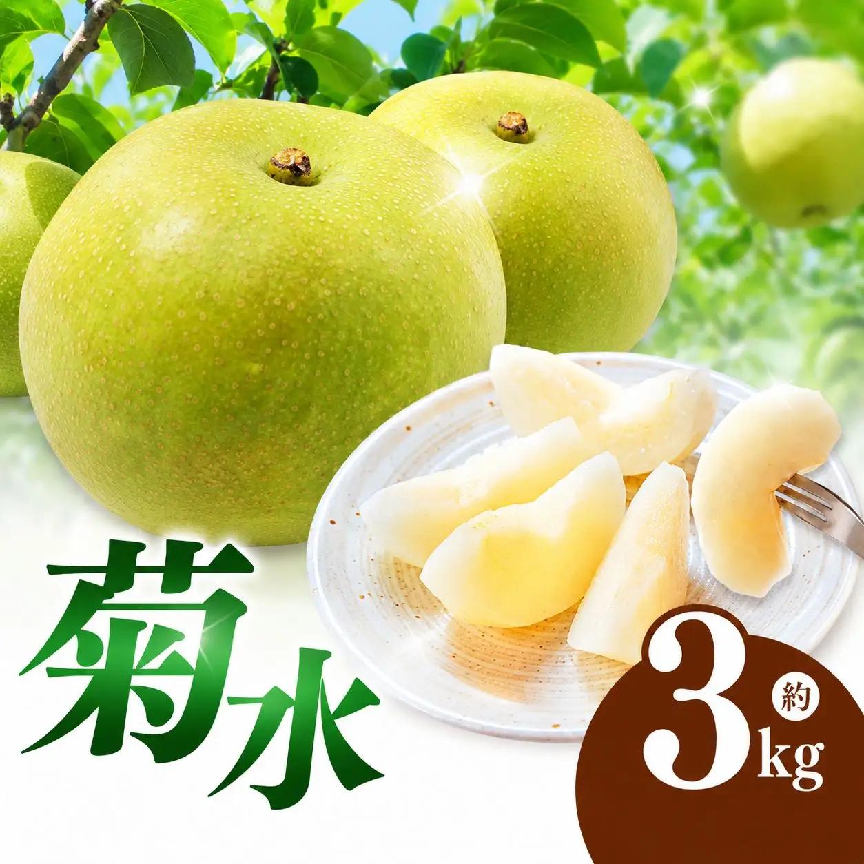 西江豊水園の菊水梨 約3kg ( 8個前後 ) | フルーツ 果物 くだもの 果実 数量限定 旬 完熟梨 梨 なし ナシ 菊水 菊水梨 和梨 3kg 3キロ 新鮮 産地直送 大分県産 九州産 国産 大