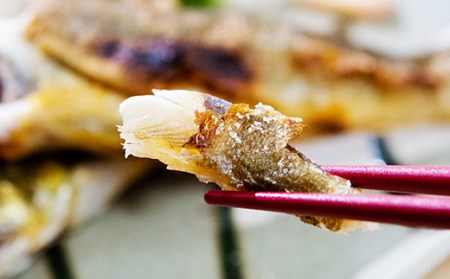 鮎のよしの　鮎の塩焼きギフト　6～8尾＜1-8＞