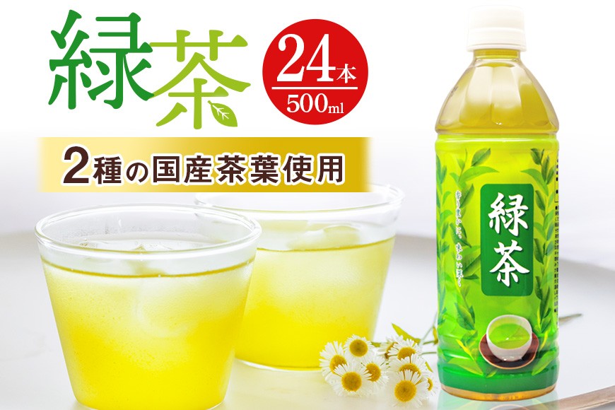 
                  琉球ビバレッジ　緑茶500ml×24本
                