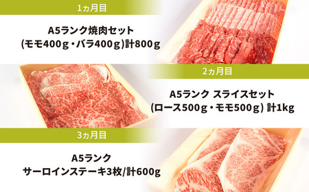 AE04 定期便 A５ランク 近江牛 食べ比べコース 3カ月 東近江