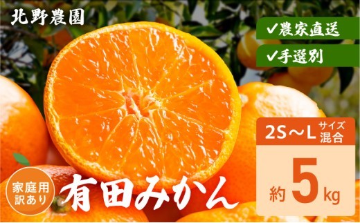 
                   【2026年先行予約】有田みかん 家庭用 訳あり サイズ 混合 おまかせ 2S ～ L 約 5kg みかん 柑橘 フルーツ 果物 果実 果汁 デザート 深み 濃厚 国産 北野農園 お取り寄せ 和歌山県 湯浅町 送料無料_DZ6236
                