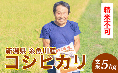 令和7年産 新潟県産『コシヒカリ 玄米』5kg（精米不可）プロも太鼓判！熟練農家のうまい米 2025年産 農家直送 吉農園【新潟県 糸魚川市 米 お米 こめ コメ ご飯 ライス ふるさと納税米 ブラン