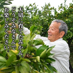 ＜先行予約・ 数量限定＞ 極早生 温州みかん 10kg 箱満杯バラ詰め！2S～Lサイズ 【B-395H】
