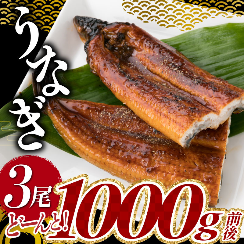 A1526.うなぎの蒲焼３尾（計１，０００ｇ前後）『１～２ヶ月前後でお届け！！』【CHU】