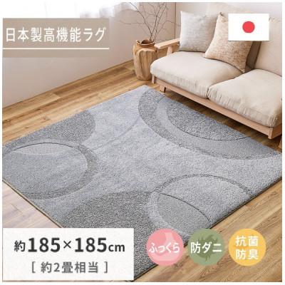 ふるさと納税 泉大津市 日本製ふっくら厚手の防ダニ・抗菌防臭加工　カーペット　1枚　約185×185cm　350118317