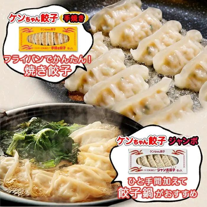 新潟県 南魚沼市 チルド手焼き餃子・ジャンボ餃子 食べ比べ セット 各3パック 計42個 ケンちゃん餃子 冷蔵 中華 点心 惣菜 ビール お取り寄せ グルメ