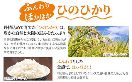【令和7年産】白米 岡山県産 ひのひかり 笠岡産 90kg(15kg×6回)《10月下旬頃出荷》農事組合法人奥山営農組合 太陽の恵み