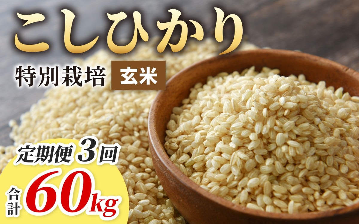 
                  【令和7年産】【3ヶ月定期便】こしひかり 20kg × 3回 計 60kg【玄米】減農薬・減化学肥料 「特別栽培米」－地球にやさしいお米－
                