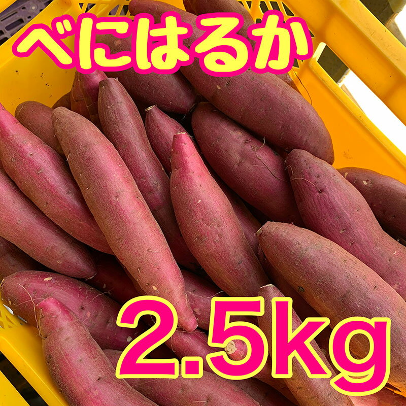 【ふるさと納税】べにはるか2.5kg　紅はるか サツマイモ さつまいも 芋 千葉県 成田市　お届け：2026年3月下旬まで