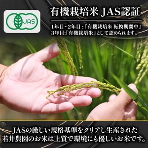 【 オーガニック米 】  にこまる 5kg ( 有機JAS 認証米 オーガニック米 有機栽培米 令和6年産 精米 白米 お米 十六代目米師又八 謹製 ブランド 米 rice ご飯 内祝い もちもち 国