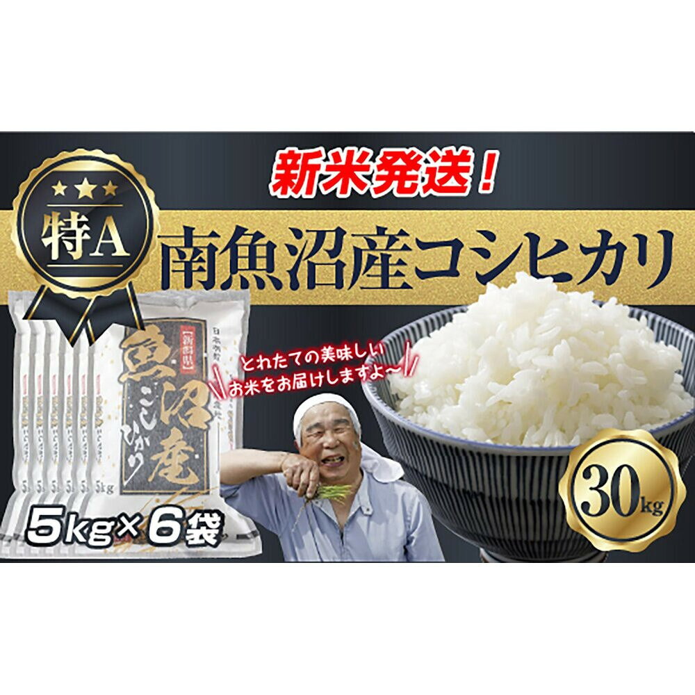 【ふるさと納税】【令和8年産　新米予約】新潟県 南魚沼産 コシヒカリ お米 5kg×6袋 計 30kg 精米済み（お米の美味しい炊き方ガイド付き） お米 こめ 白米 こしひかり 食品 人気 おすすめ 魚沼 南魚沼 南魚沼市 新潟県産 【2026年10月中旬より1ヶ月以内に順次発送予定】