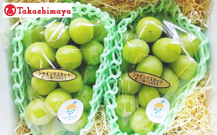
            【高島屋選定品】松川果樹園 シャインマスカット 2房（900g）【2025年8月下旬発送予定】ブドウ ぶどう
          