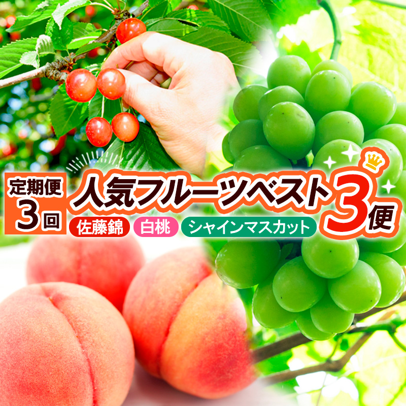 【定期便3回】人気ベスト3 ～山形の勢いが止まらない～ (佐