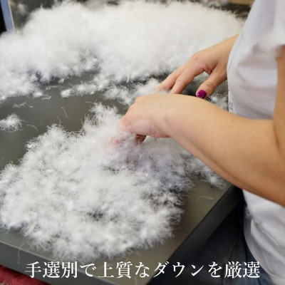 逸品 ポーランド産「スーペリア」コウダ種マザーグース ダウン98% 冬用 羽毛布団 シングルサイズ【1701058】