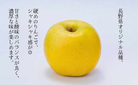 JA14-24A りんご シナノゴールド 約5kg ／2024年10月下旬～11月上旬ごろ配送 贈答 南信州産 長野県オリジナル品種