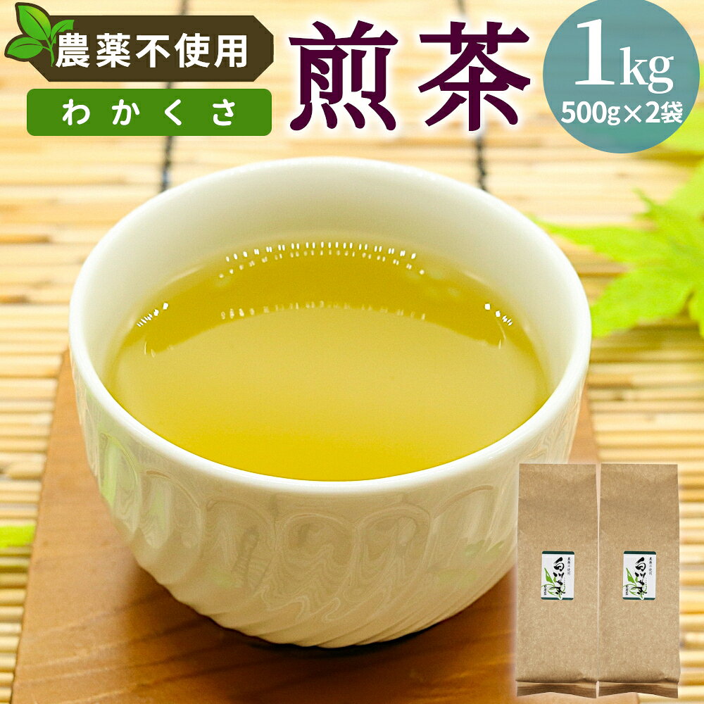 【ふるさと納税】農薬不使用！煎茶 わかくさ 1kg 常磐園 白川茶 美濃白川茶 日本茶 緑茶 煎茶 茶葉 お茶 二番茶 春摘み リーフ 国産 大容量 岐阜県 東白川村 家庭用 事務所用