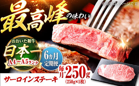 【全6回定期便】おおいた和牛 サーロインステーキ 250g (250g×1枚) 日田市 / 株式会社OTOGINO[AREF135]