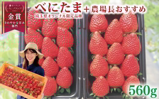 【事前受付】 いちご べにたま +農場長おすすめ品種 560g (280g×2P)  苺 食べ比べ イチゴ ストロベリー 産地直送 ご当地 果物 くだもの フルーツ デザート 食品 冷蔵  strawberry ichigo itigo げんき農場 埼玉県 羽生市