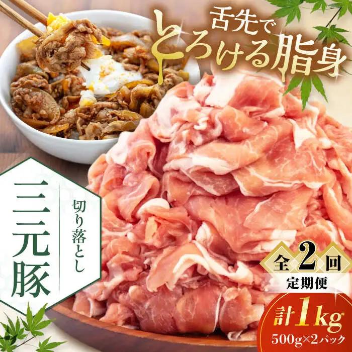 【全2回定期便】平田牧場 切り落とし 1kg (500g×2P)  豚肉 切り落とし 小分け [AJAP030]