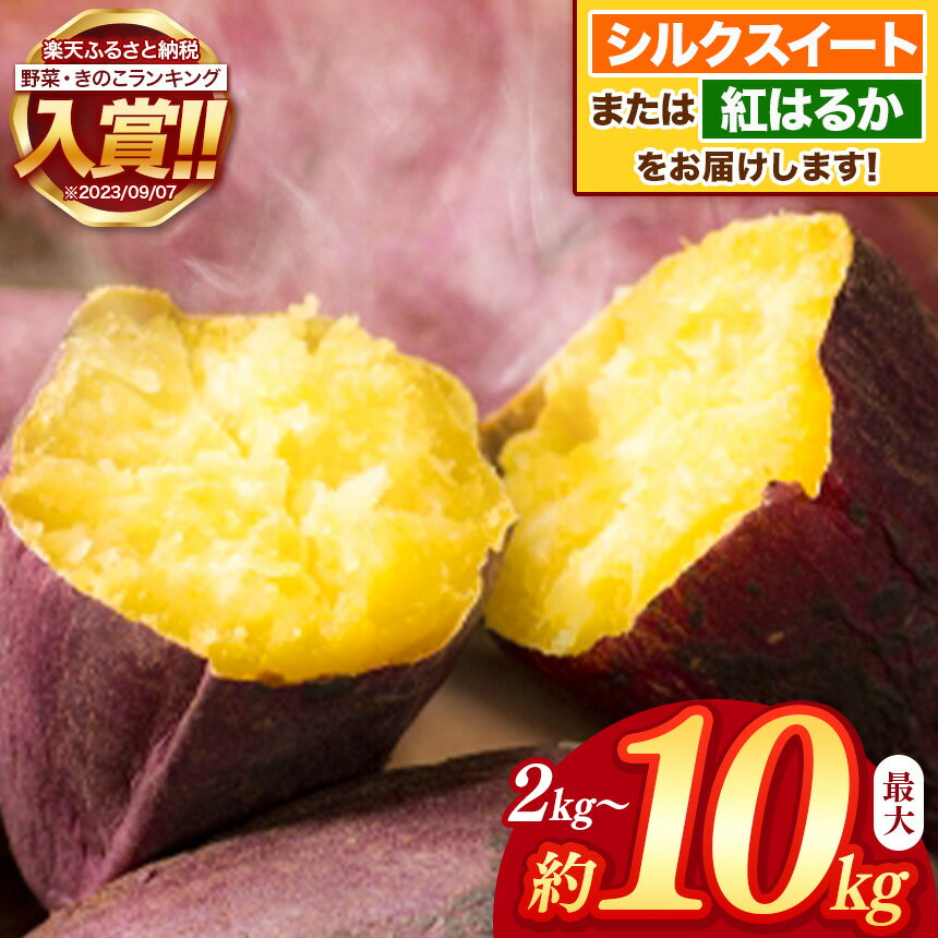 【ふるさと納税】 【 先行予約 2025年9月頃発送予定 】 さつまいも ( 蜜芋 ) 約 2kg ～ 10kg 密芋 シルクスイート or 紅はるか 野菜 大容量 国産 熊本県 和水町　訳あり くまもと県 甘藷 からいも サツマイモ かんしょ 芋 大小混合 サイズ混合 傷 スレ 食物繊維豊富