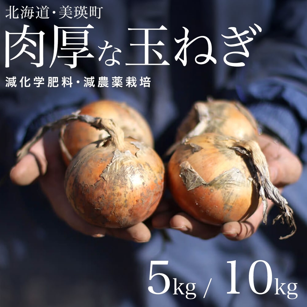 【ふるさと納税】【令和8年産予約受付！】本山農場の玉ねぎ5kg 10kg｜北海道 美瑛 たまねぎ 玉葱 野菜 送料無料 玉ネギ タマネギ オニオン スライス サラダ ハンバーグ 肉じゃが 味噌汁 焼き肉 バーベキュー BBQ スープ 国産 新鮮