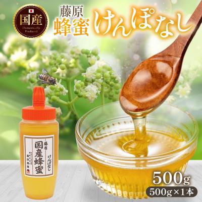 ふるさと納税 盛岡市 藤原国産蜂蜜 けんぽなし 500g 完熟 単花蜜 藤原養蜂場 岩手県盛岡市