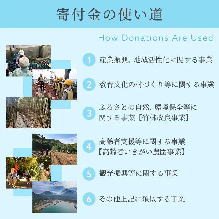 msm-024 《返礼品なし》三島村への応援寄附【三島村】