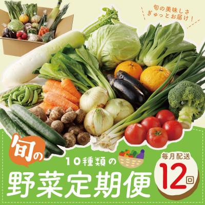 ふるさと納税 泉佐野市 【毎月定期便】旬の泉州野菜 定期便 10種類 詰め合わせ 全12回 099Z187