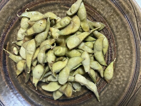 【ふるさと納税】農家直送　丹波市産　黒枝豆　300g×4