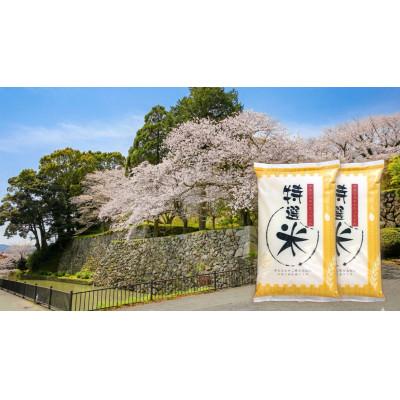 ふるさと納税 玉城町 令和7年産　コシヒカリ　単一原料米　特選米　10kg