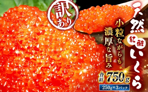 【先行予約】 新物 天然紅鮭いくら 醤油漬け 750g （ 250g × 3 ） 【2026年11月以降順次発送】いくら イクラ 海鮮 天然紅鮭 魚卵 卵 イクラ丼 いくら丼 手巻き寿司 小粒 魚介類 魚介 寿司 丼 冷凍 旨味
