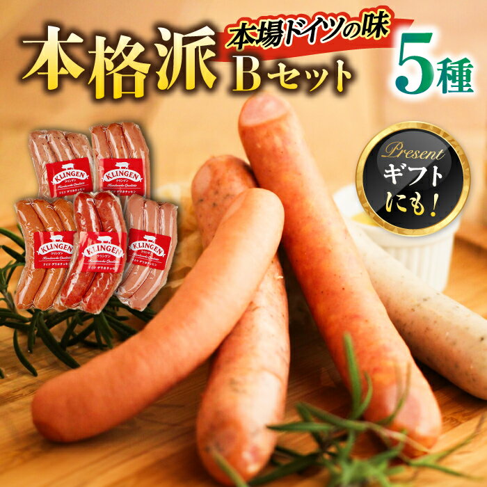【ふるさと納税】マイスター直伝手作りソーセージ Bセット 5種 ウインナー チョリソー BBQ 岐阜市/ドイツデリカテッセン　クリンゲン[ANBQ002]