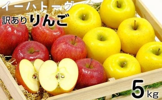 
            【発送月を選べる】イーハトーヴ 訳アリ りんご 約５ｋgセット《予約受付》 【280】
          