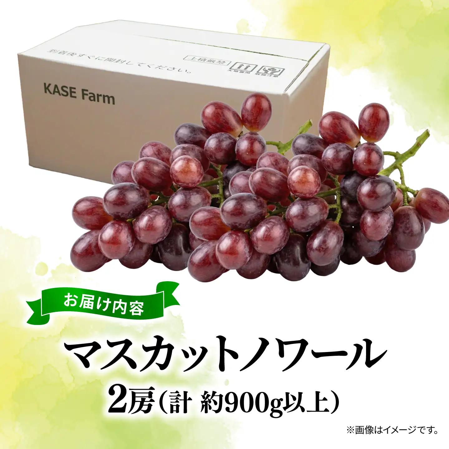 訳あり マスカットノワール  2房 900g 以上 数量限定 種なし