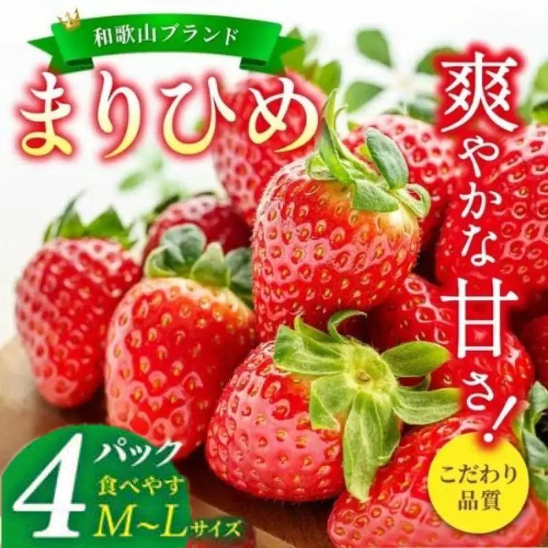 【先行予約】まりひめイチゴ4パック 食べやすいひと口サイズ M～L（15粒～20粒入×4パック）【2027年1月中旬?3月下旬頃に順次発送】（お届け日指定不可）/ いちご 苺 まりひめ 和歌山 フルーツ【kgr034】