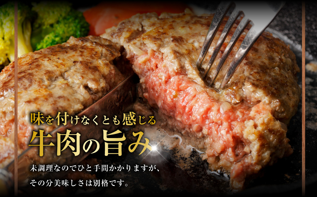 神内和牛あか 100%ビーフハンバーグ 20枚入り（2枚入り×10パック）