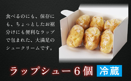 【レビューキャンペーン】ラップシュー ６個入り