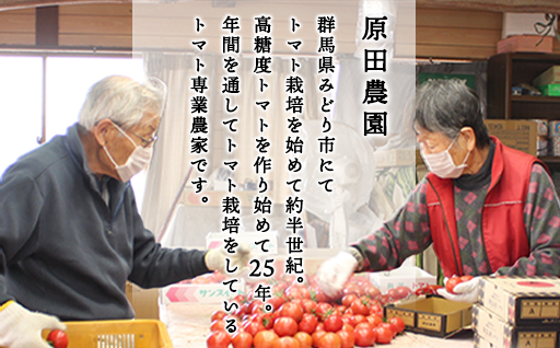 【a013】フルーツトマト糖九郎（Mサイズ）1kg箱15玉満杯詰め　2026年3月〜5月発送分