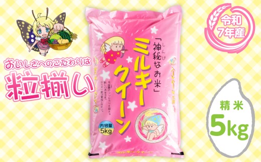 【5月発送】精米 ミルキークイーン 5kg 茨城県下妻市産 【 お米 米 白米 ご飯 こめ ミルキークイーン 令和7年産 茨城県産 】