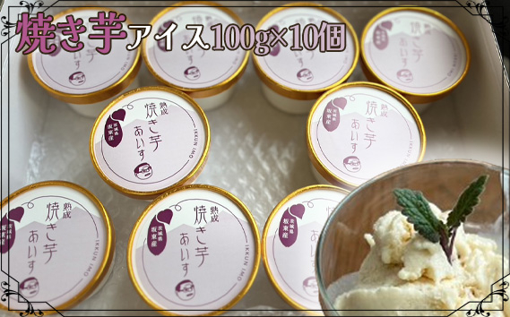 
            焼き芋アイス100g×10個 ／ さつまいも デザート スイーツ 茨城県 No.689
          