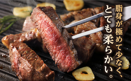 長崎和牛 ヒレ ステーキ 約180g×2枚 肉 牛肉 【肉の牛長】[RCJ001]