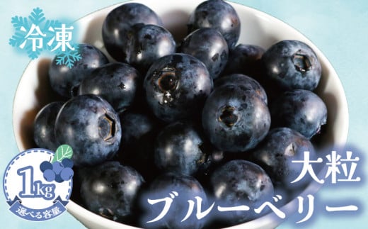 【先行予約】 冷凍ブルーベリー 約1kg（1袋500g×2） ブルーベリー 冷凍 フルーツ 大粒 特大 美容 健康 ダイエット 冷凍食品 デザート 果物 くだもの スムージー 朝食 ジャム ヨーグルト チーズケーキ クレープ ロールケーキ タルト お菓子 トッピング 贈答 プレゼント 国産 お取り寄せ グルメ ふるさと納税 送料無料 （5月中旬～発送） 銚子産 千葉県 銚子市 アグリモバード
