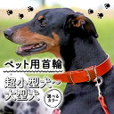 【ふるさと納税】 ペット用首輪 選べる カラー サイズ 超小型犬-大型犬 ペット 犬 愛犬 ワンちゃん 超小型犬 首輪 リード 本革 レザー 牛革 牛 散歩 さんぽ ウォーキング 健康 おしゃれ 消耗品 大阪府 松原市