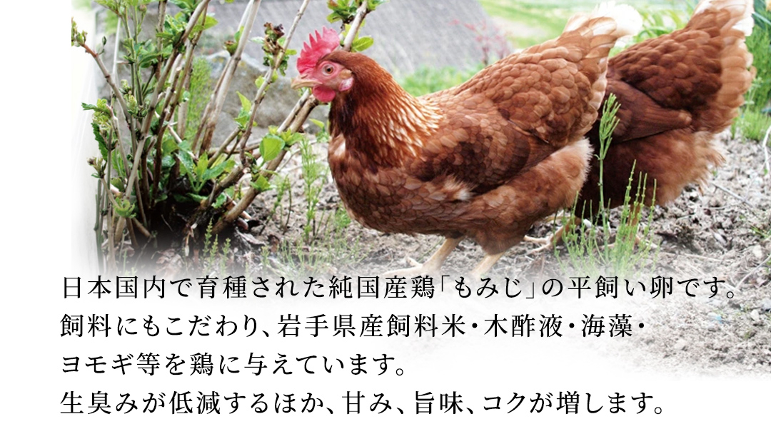 【純国産鶏もみじ】平飼い卵30個入り (破損保証5個含む)【12ヶ月連続お届け】 (AJ026)