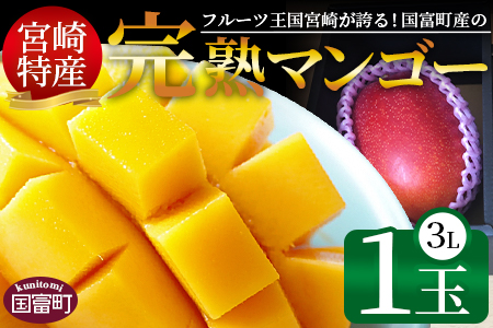 ＜宮崎特産！国富町産の完熟マンゴー 1玉（3L）＞2025年4月中旬～6月中旬迄に順次出荷【a0593_as】