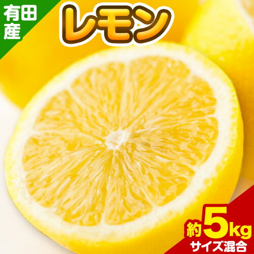 【ふるさと納税】レモン 有田産 約 5kg（サイズ混合） 厳選館《2026年10月中旬-2027年4月中旬頃出荷》和歌山県 日高町 果物 フルーツ 柑橘 レモン れもん 檸檬